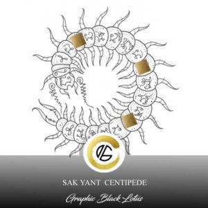 sak-yant-centipede-circle-tattoo-design-traditional