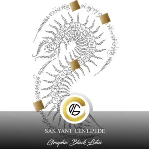 sak-yant-centipede--tattoo-design-thai-traditional