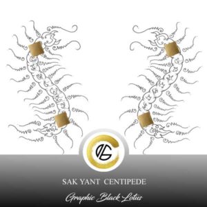 sak-yant-centipede-twin-tattoo-design-thai