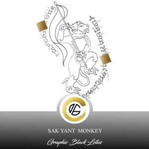 sak-yant-monkey-tattoo-design-013