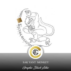 sak-yant-monkey-tattoo-design-016