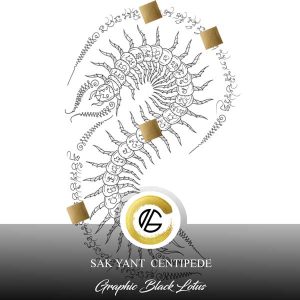 Sak Yant Centipede Thailand